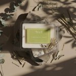 Knot vonný vosk do aromalampy Citronová tráva 80 g – Hledejceny.cz