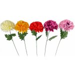 Nohel Garden Květina CHRYZANTÉMA KVĚT d15cm 62cm – Hledejceny.cz