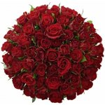 Kytice 55 červených růží RED CALYPSO 50 cm – Zboží Dáma