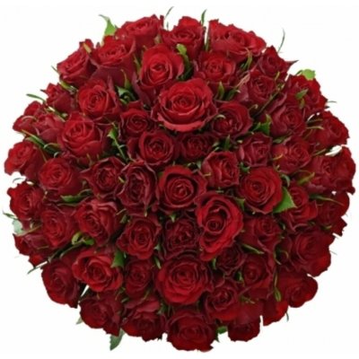 Kytice 55 červených růží RED CALYPSO 50 cm – Zboží Dáma