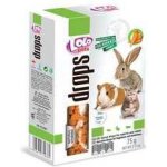 Lolo Dropsy mrkvové pro hlodavce 75 g – Zboží Dáma