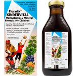 Salus Floradix sirup proti únavě 250 ml – Hledejceny.cz