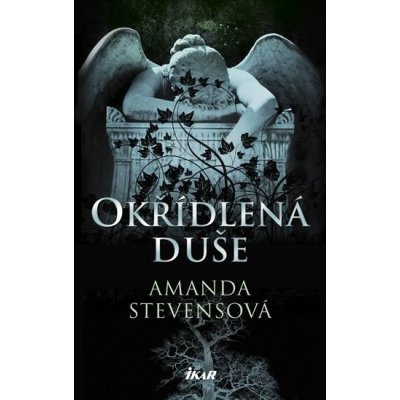 Okřídlená duše - Stevensová Amanda – Hledejceny.cz