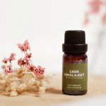 By Nefertitis Cedr himálajský 100% esenciální olej 10 ml – Hledejceny.cz