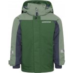 Didriksons Neptun JKT 4 Dětská zimní bunda Pine Green H14 90 – Zbozi.Blesk.cz