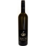 Piálek & Jäger Zweigel 2021 14% 0,75 l (holá láhev) – Hledejceny.cz