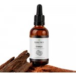 Gaia Store BIO Chaga Ultrasonická tinktura 30 ml – Hledejceny.cz