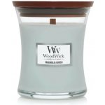 WoodWick Magnolia Birch 275 g – Hledejceny.cz