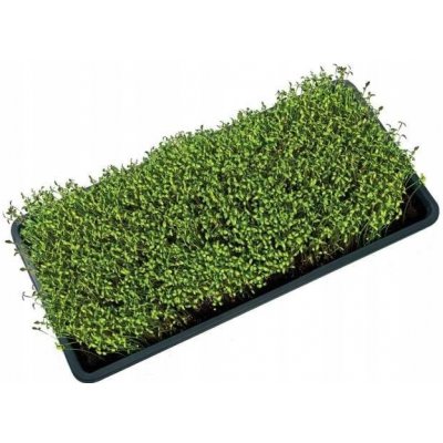 Garland podmiska plast Microgreens Tray s drenáží 56 x 28 x 3 cm – Zboží Dáma