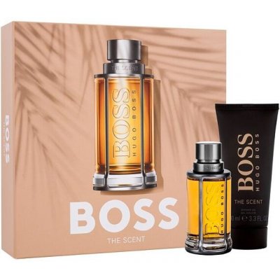 Hugo Boss The Scent 2015 toaletní voda pánská 50 ml