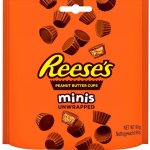 Reese's Minis Peanut Butter Cups 90g – Zboží Dáma Reese's Minis Peanut Butter Cups 90g – Zboží Dáma