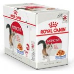 Royal Canin Instinctive jelly 12 x 85 g – Hledejceny.cz