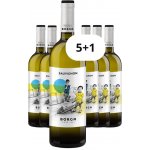 Cantine Borga Sauvignon 2025 12% 6 x 0,75 l (holá láhev) – Hledejceny.cz