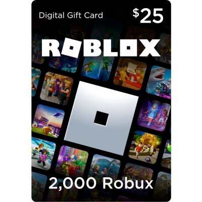 Roblox Card 2000 Robux – Zboží Živě