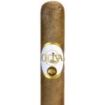 Oliva Connecticut Reserve Petit Corona 1 ks – Zboží Dáma