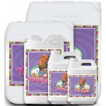 Advanced Nutrients Tasty Terpenes 1 l – Zboží Dáma