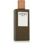 Loewe Esencia toaletní voda pánská 100 ml – Hledejceny.cz