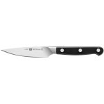 ZWILLING Nůž Pro špikovací 10 cm – Zbozi.Blesk.cz