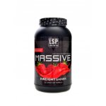 LSP nutrition Massive X weight gainer 1200 g – Zboží Mobilmania