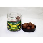Jet Fish Rozpustné boilies Legend Range Seafood Švestka / Česnek 250 ml 24 mm – Hledejceny.cz