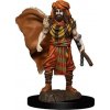 Příslušenství ke společenským hrám D&D Miniatures: Icons of the Realms Human Druid Male