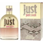 Roberto Cavalli Just Cavalli 2013 toaletní voda dámská 75 ml