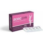 Borogyn vaginální čípky 10 x 2 g – Zboží Dáma