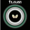 Butterfly Ilius S