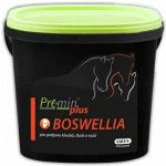 Premin Miner.dop. Boswellia 1 kg – Hledejceny.cz