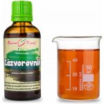 Bylinné kapky Zázvor kořen tinktura 50 ml – Hledejceny.cz
