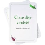 Co se děje v trávě? – Hledejceny.cz