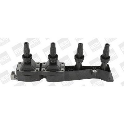 Zapalovací cívka BorgWarner (BERU) ZSE045 – Hledejceny.cz