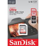 SanDisk SDXC Class 10 256 GB SDSDUNC-256G-GN6IN – Hledejceny.cz
