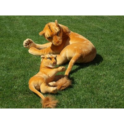 lvice s mládětem délka 140/65 cm – Sleviste.cz