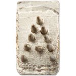 Kerbl Písmeno do tetovacích kleští 7 mm jednotlivé – Zboží Dáma