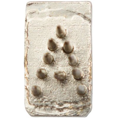 Kerbl Písmeno do tetovacích kleští 7 mm jednotlivé – Zboží Dáma