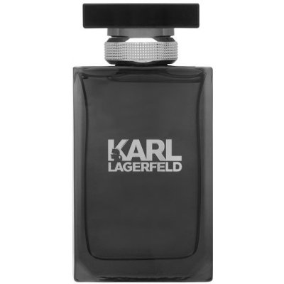 Karl Lagerfeld toaletní voda pánská 100 ml – Hledejceny.cz