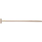 Nohel garden Násada na rýč s T ručkou bukové dřevo 100cm – Zboží Dáma Nohel garden Násada na rýč s T ručkou bukové dřevo 100cm – Zboží Dáma