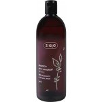 Ziaja Nettle šampon s výtažkem z kopřivy pro vlasy s lupy 500 ml – Zboží Mobilmania
