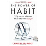 The Power of Habit : Why We Do What We Do, and How to Change - Charles Duhigg