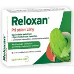 Reloxan Mint 16 žvýkacích tablet – Hledejceny.cz