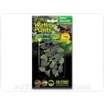 Exo Terra Water Hyacinth 8 cm – Hledejceny.cz