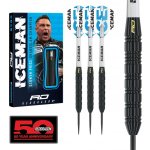 Red Dragon Gerwyn Price Brass 22g steel – Zboží Mobilmania
