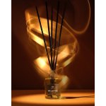 Aromatic 89 Aroma difuzér s tyčinkami Wildfire 50 ml – Hledejceny.cz