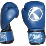 Tapout MMA sparingové rukavice Ruction – Hledejceny.cz