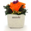 Květina Ina LIGHT Orange - oranžová (3x stabilizovaná "věčná" růže v betonovém květináčku)