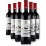 Danieli Winery SAPERAVI polosladké červené víno 14,5% 6 x 0,75 l (holá láhev) – Hledejceny.cz