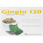 GINGIO POR 120MG TBL FLM 60 – Hledejceny.cz