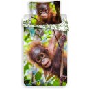 Povlečení Jerry Fabrics Povlečení fototisk Orangutan 02 140x200 70x90