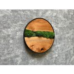 Mia Moss decoration - MECHOVÝ OBRAZ Ø 30cm – Zboží Dáma